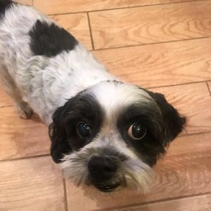 Meet your Posher, Mike